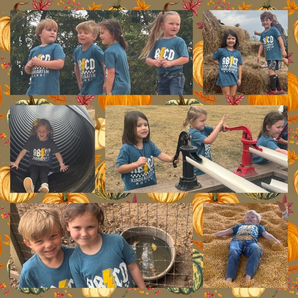  BoBrooks Farm Fun